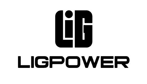 LIG Power Brushless Motors